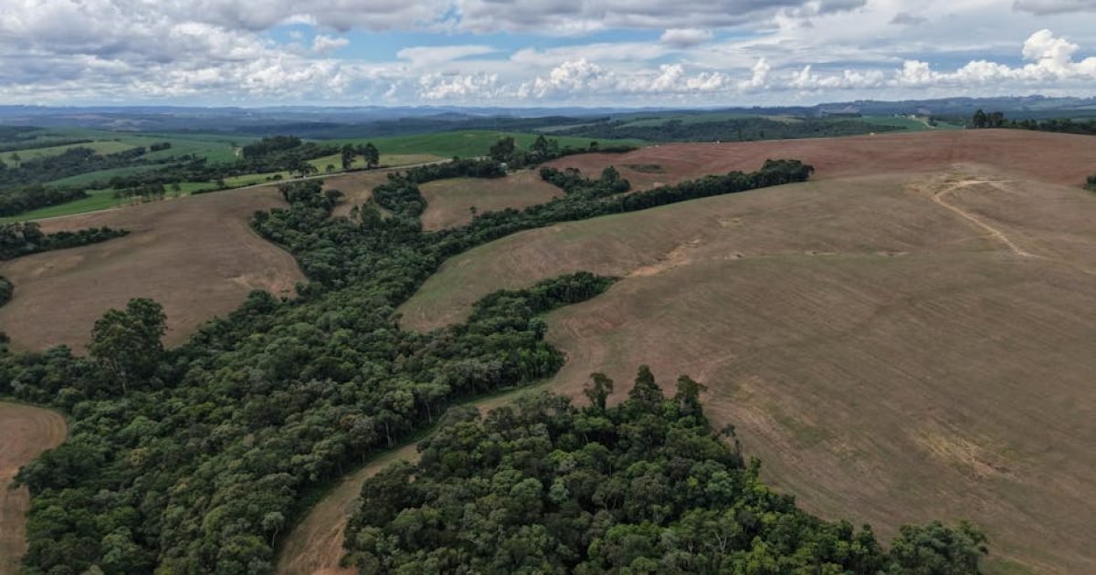 Vista aérea panorâmica de colinas onduladas e floresta vibrante sob um céu nublado.